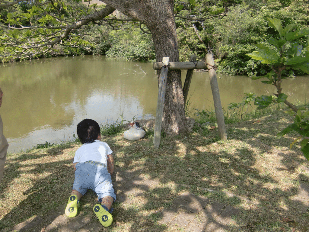 鳥に近くこども